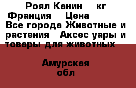  Роял Канин 20 кг Франция! › Цена ­ 3 520 - Все города Животные и растения » Аксесcуары и товары для животных   . Амурская обл.,Райчихинск г.